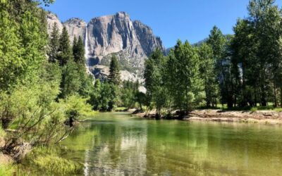 Tales of Yosemite Backcountry